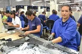 Funsat oferta 878 vagas de emprego em 117 profissões nesta terça-feira